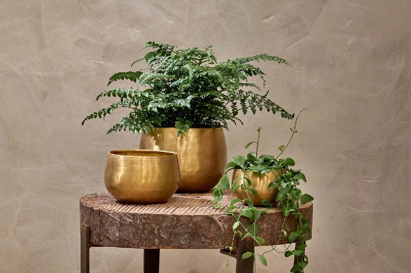 Atsu Brass Planter