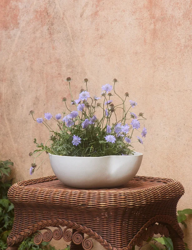 Dempsy Low Planter by Sarah Sherman Samuel