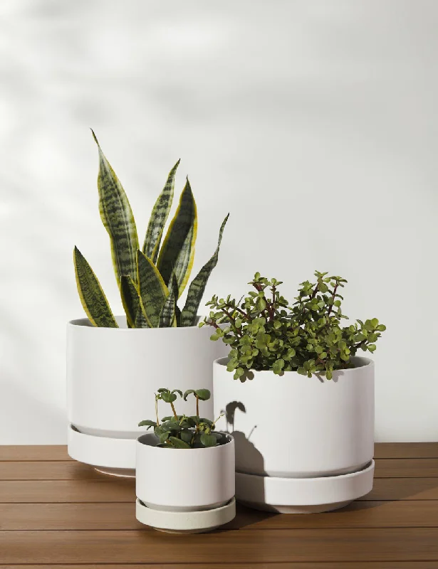 Ceramic Indoor / Outdoor Planter by LBE Design