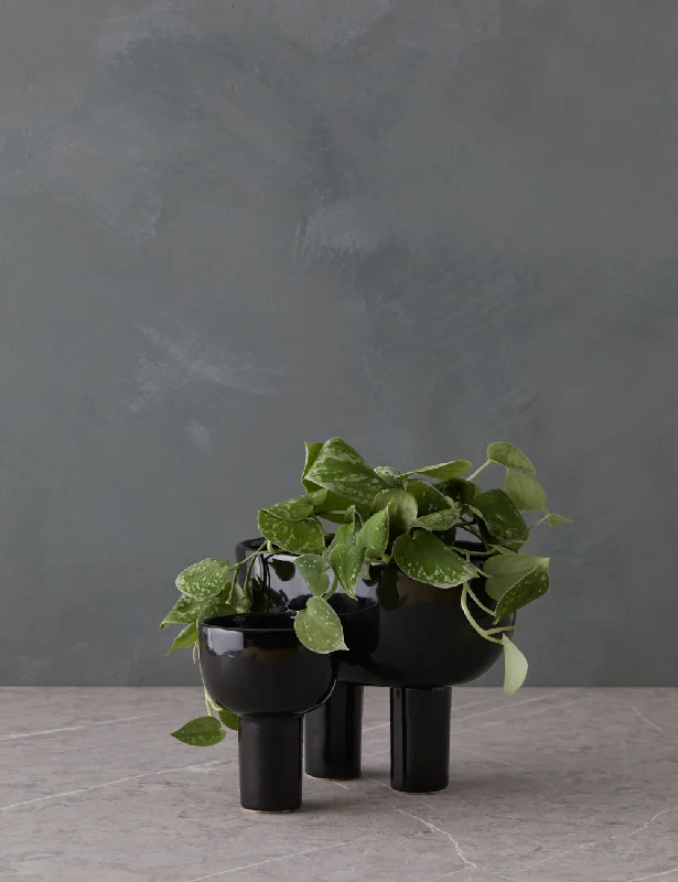 Nuria Planter Pot