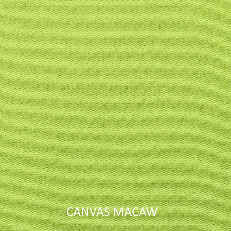 Canvas Macaw