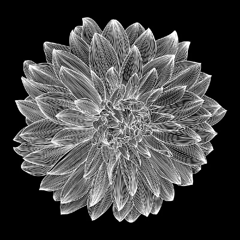 ArtzFolio Black White Photo of Dahlia Flower Peel & Stick Vinyl Wall Sticker