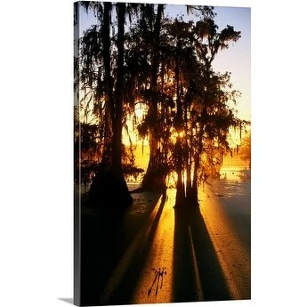 John Elk Premium Thick-Wrap Canvas entitled Sunset shining through trees in Louisiana