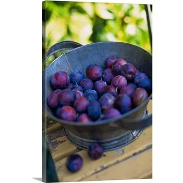 Premium Thick-Wrap Canvas entitled Bowl of harvested Plums