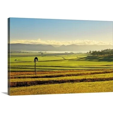 Premium Thick-Wrap Canvas entitled Early morning pastoral scene with keyline plowing near Warwick, Queensland,