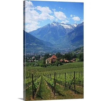 Premium Thick-Wrap Canvas entitled Italy, Alto Adige, South Tyrol, Merano/Meran, vineyard