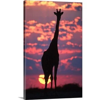 Premium Thick-Wrap Canvas entitled Southern giraffes silhouetted against sunrise, Etosha National Park, Namibia