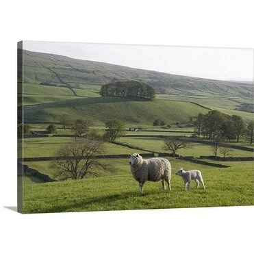 Premium Thick-Wrap Canvas entitled Stone barns and walls in a field near Bainbridge, Wensleydale in The Yorkshire Dales