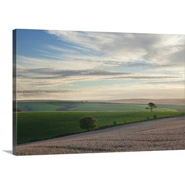 Premium Thick-Wrap Canvas entitled Tranquility