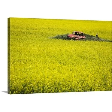 Richard Cummins Premium Thick-Wrap Canvas entitled Car in a field, Regent, North Dakota, USA