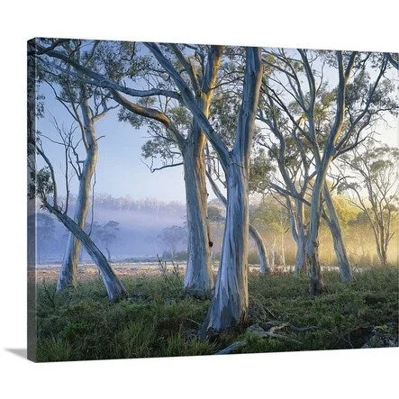 Rob Blakers Premium Thick-Wrap Canvas entitled Trees amongst the mist in a lake